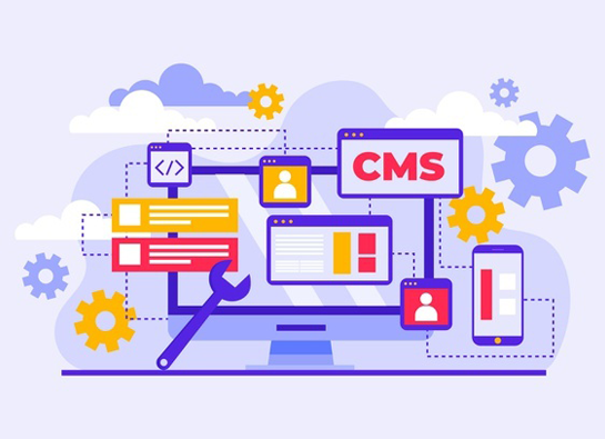 CMS Development Service